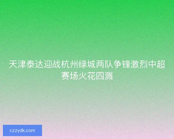 天津泰达迎战杭州绿城两队争锋激烈中超赛场火花四溅