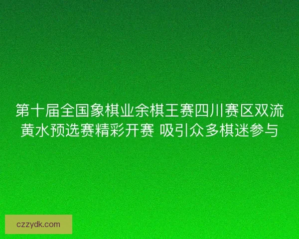 第十届全国象棋业余棋王赛四川赛区双流黄水预选赛精彩开赛 吸引众多棋迷参与